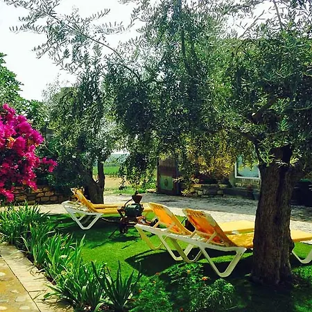 Sleeps 10 Pool Puimisson